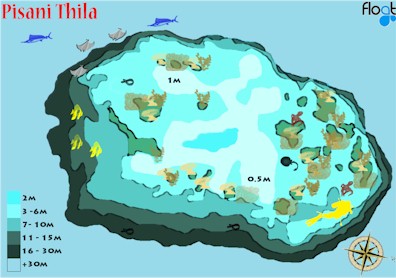 Pisani Thila